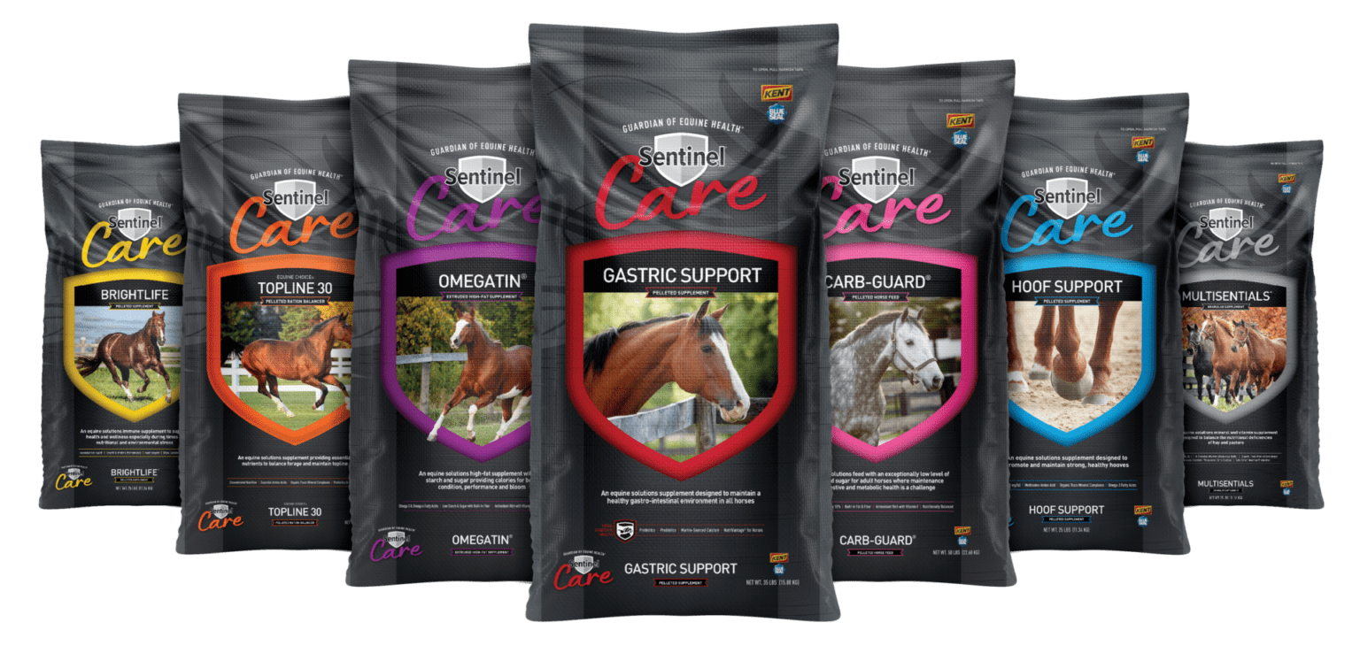 Sentinel Horse Feed Finder Kent Feeds Blue Seal