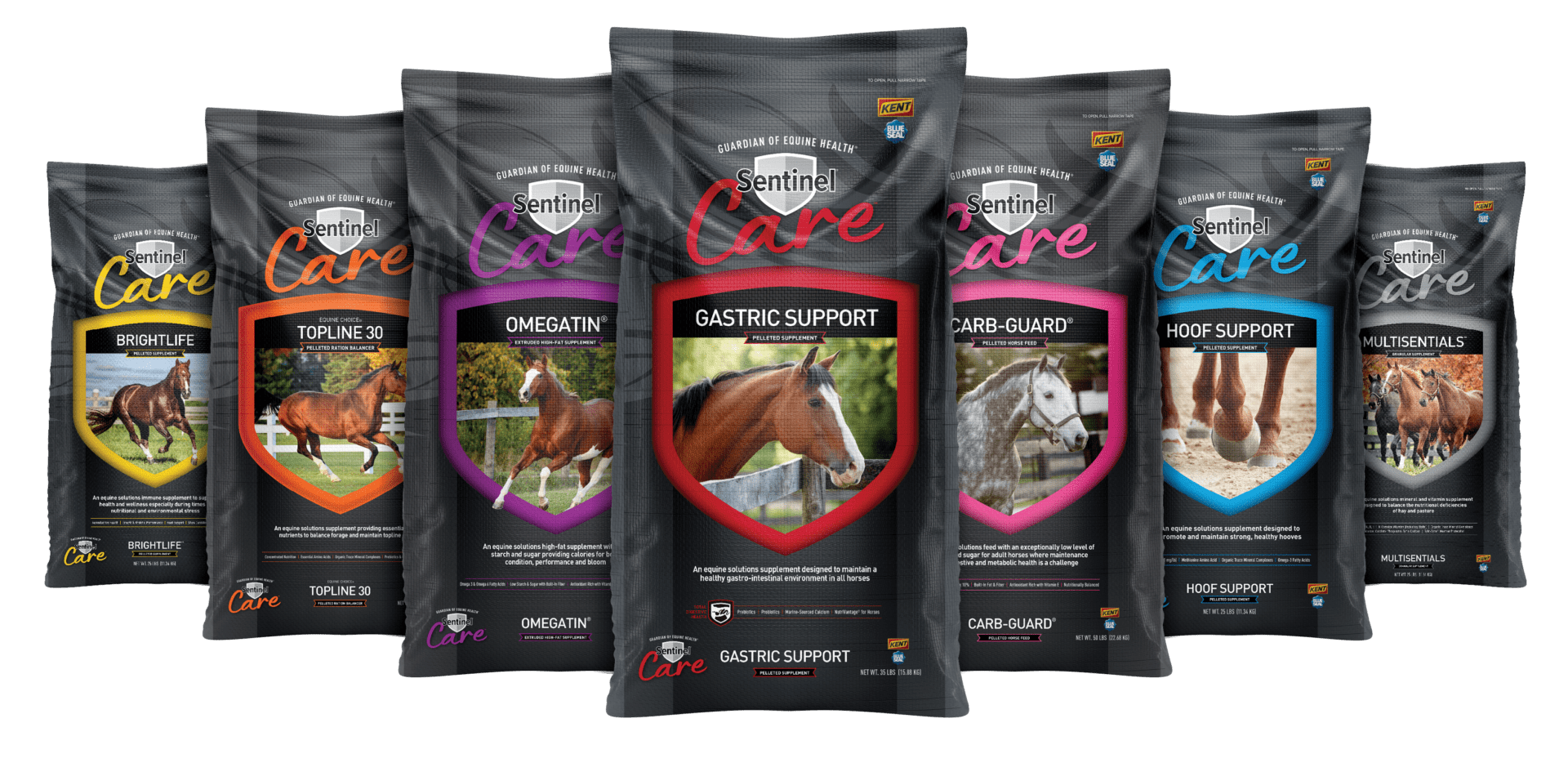Sentinel Care Full Lineup of Horse products