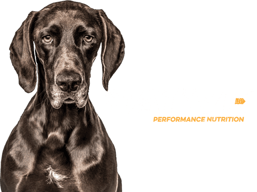 Native dog food logo