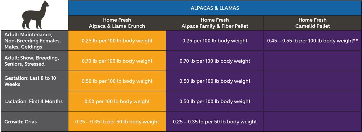 Blue Seal Home Fresh Alpaca & Llama - Suggested Feeding Chart