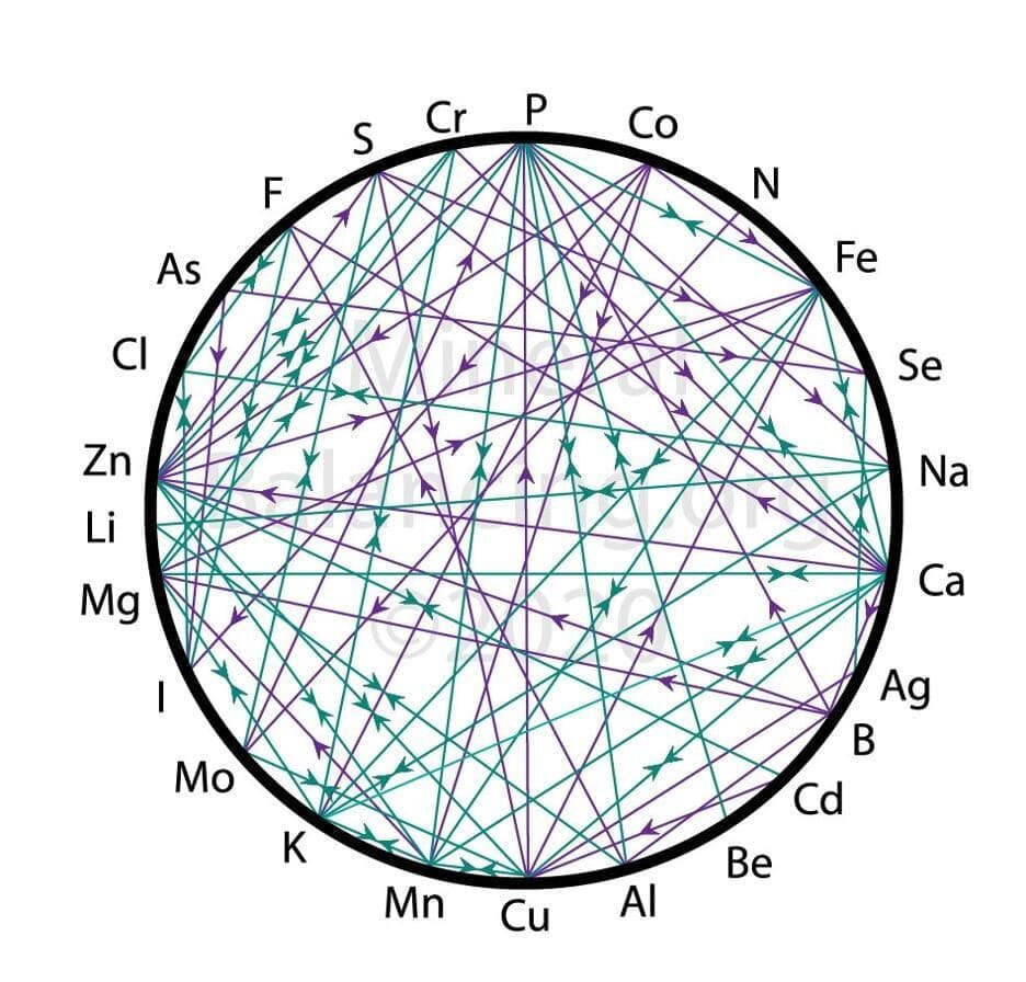 Figure 1. The “mineral wheel” of interactions across minerals. 