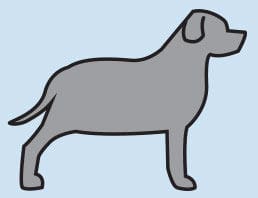 overweight dog illustration