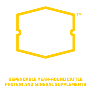 Rangeboss Logo
